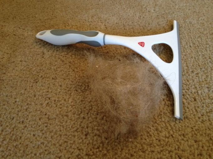 Pet hair remover on carpet with hairball.