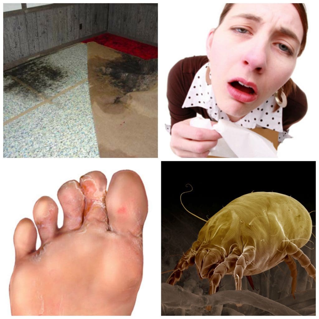 A collage of pictures with the foot and feet