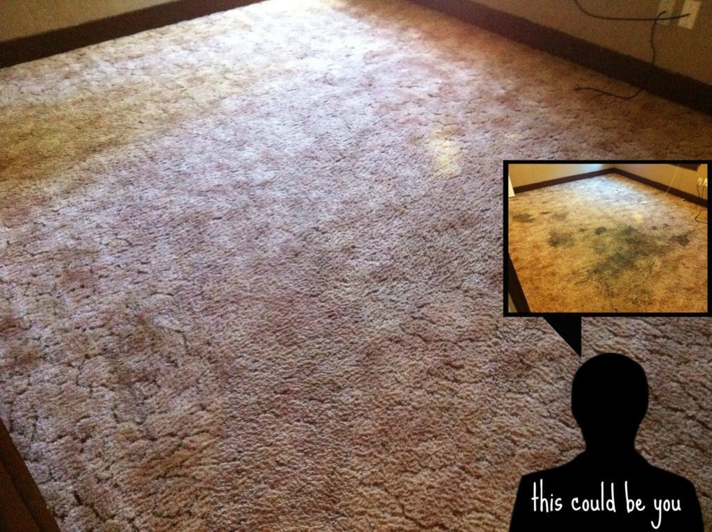 A person is looking at the carpet in their room.