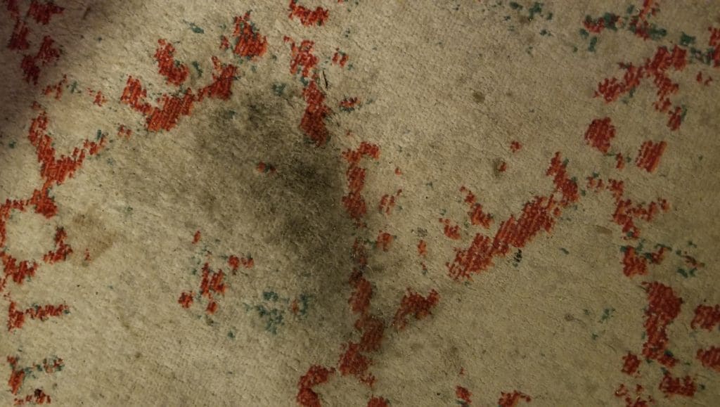 A close up of the stain on the carpet