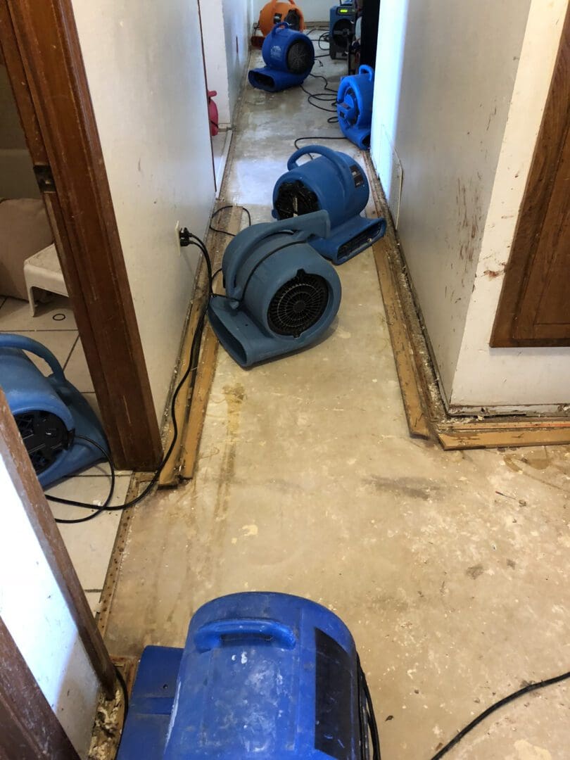 A couple of blue blowers in the middle of a room.