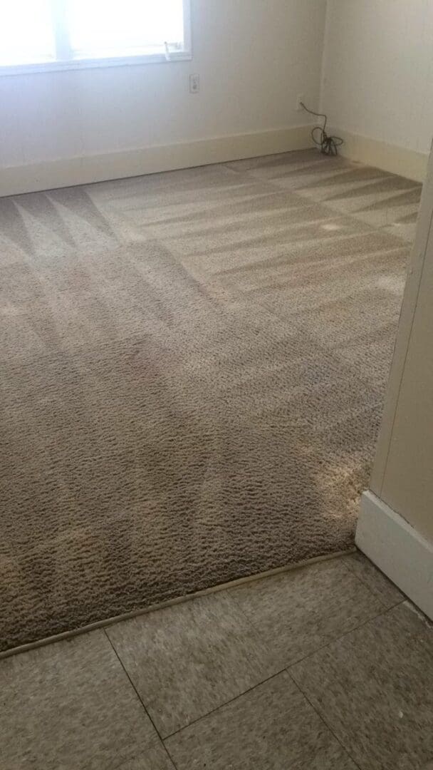 A carpet with a stain on it and the floor.