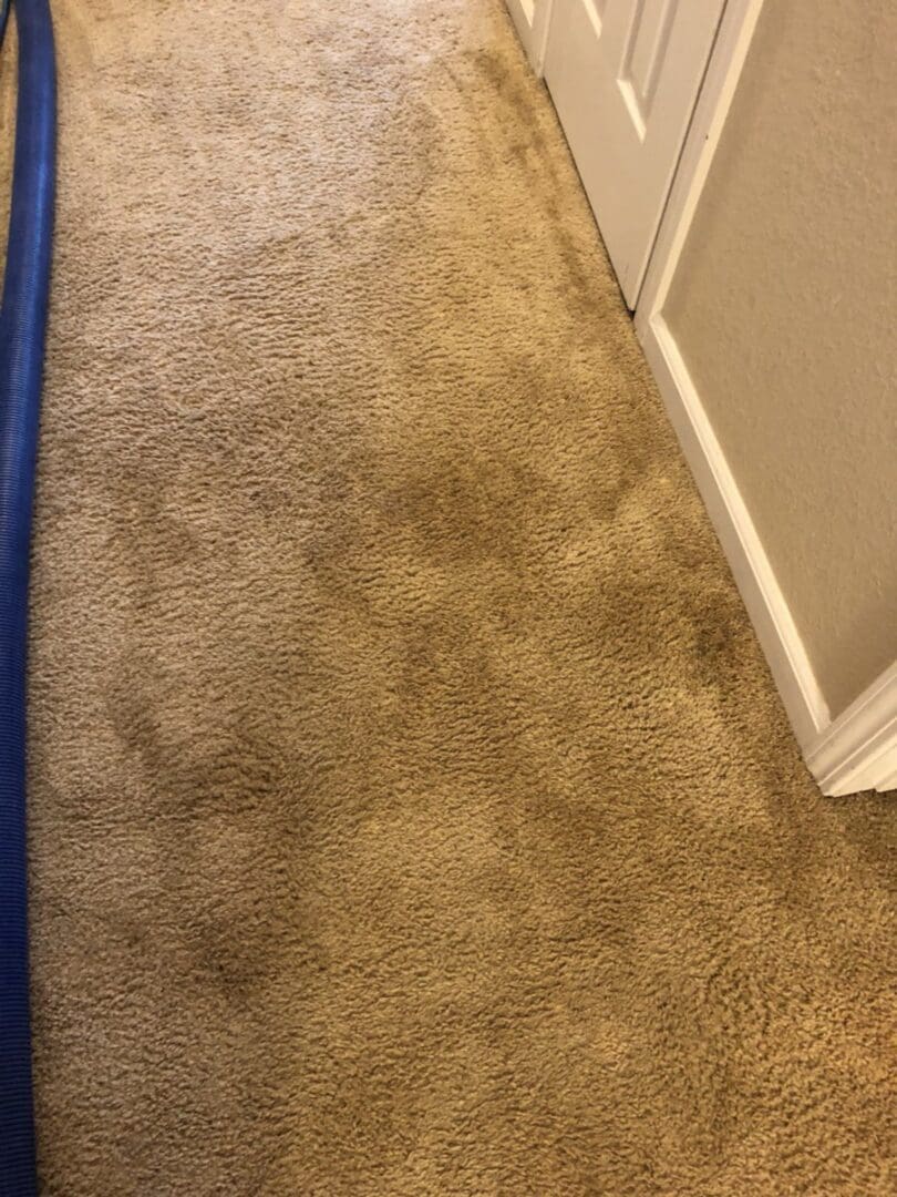 A carpet cleaning machine is in the middle of the floor.