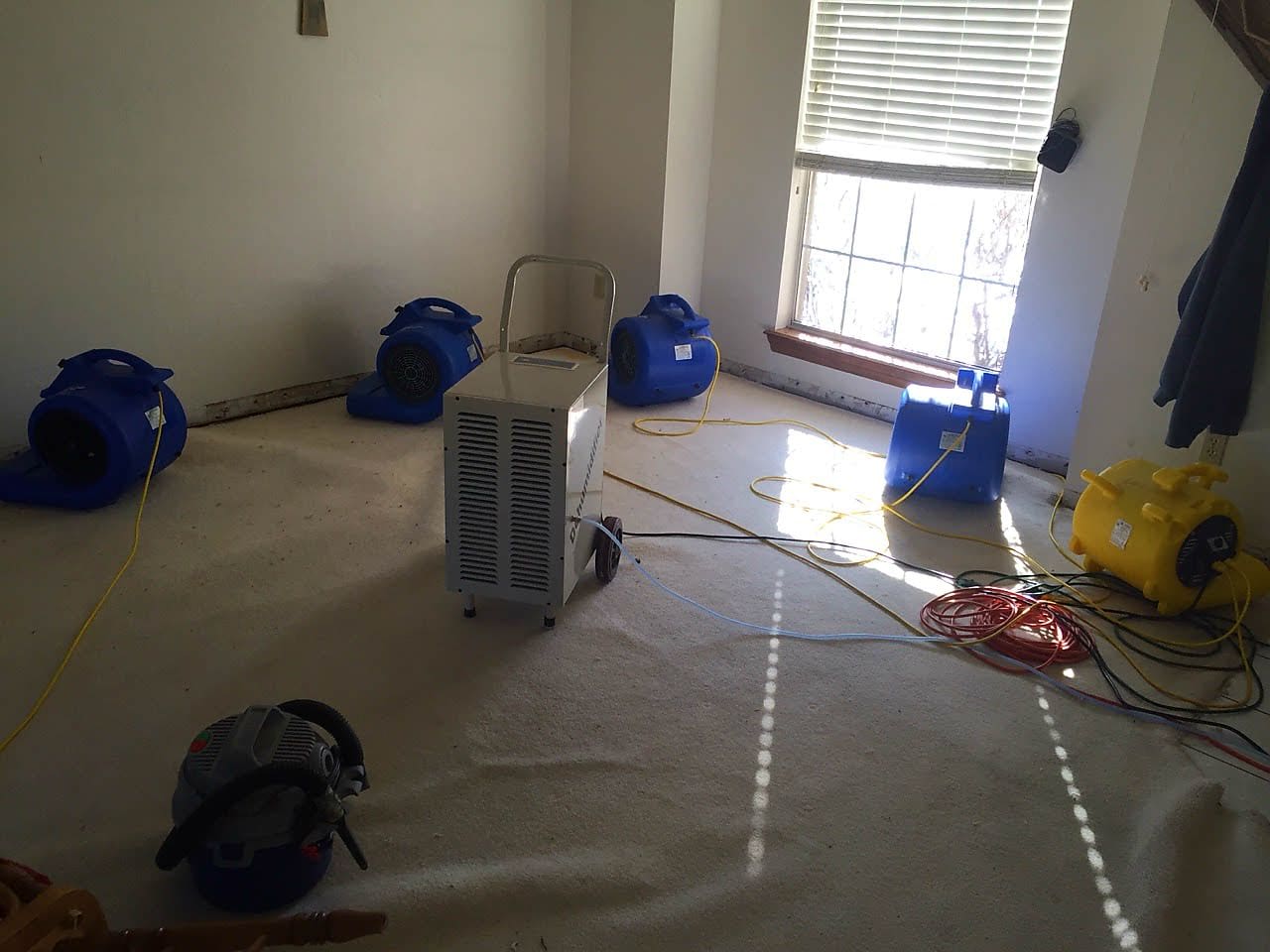 A room with several blue bags on the floor.