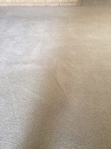 A close up of the carpet in a room