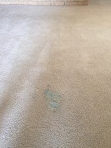 A close up of the stain on the carpet