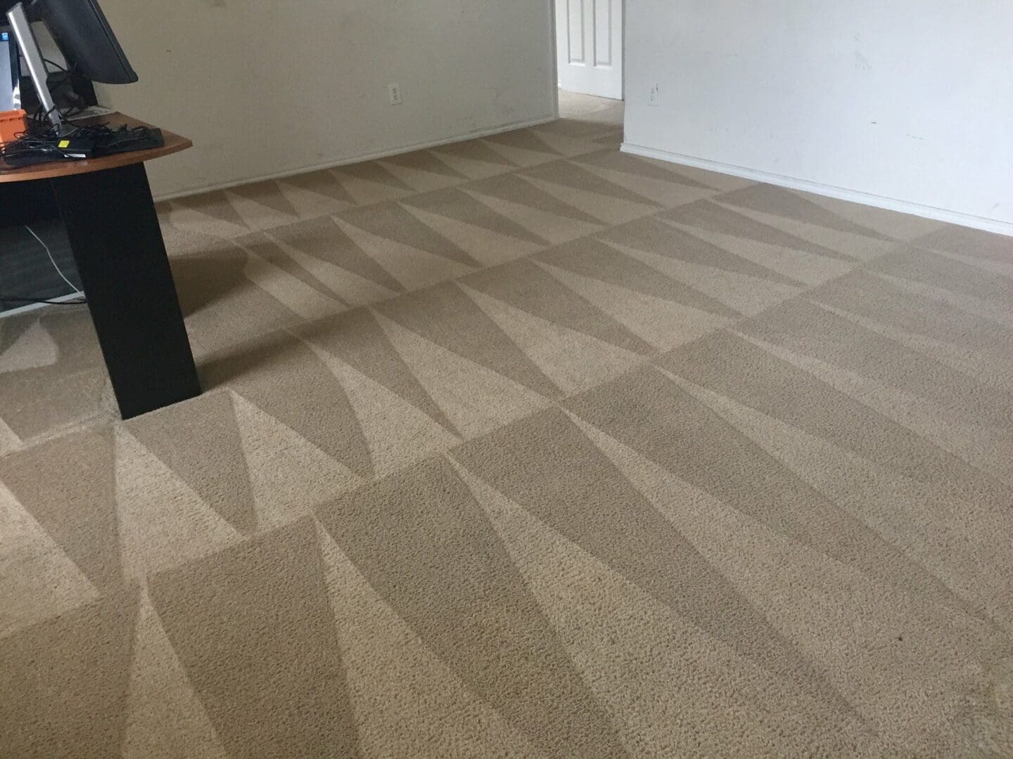 A room with a carpet that has been cleaned.