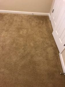 A door and carpet in the corner of a room.