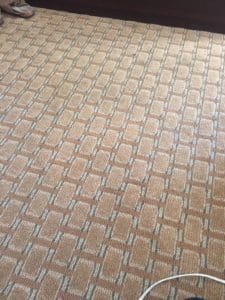 A close up of the floor tiles in a room.