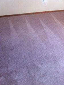 A carpet with streaks of white on it.