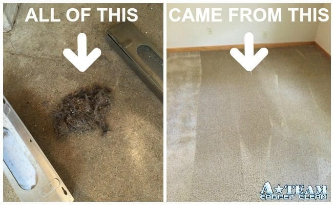 Carpet cleaning results: before and after.