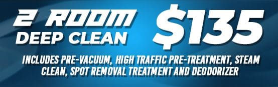 A blue banner with the words " zoom clean $ 1 9. 0 0 ".