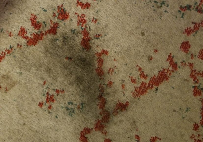 A close up of the stain on the carpet