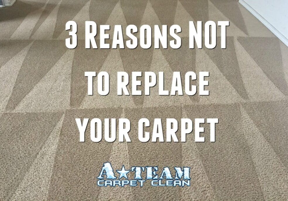 A team carpet clean 3 reasons not to replace your carpet