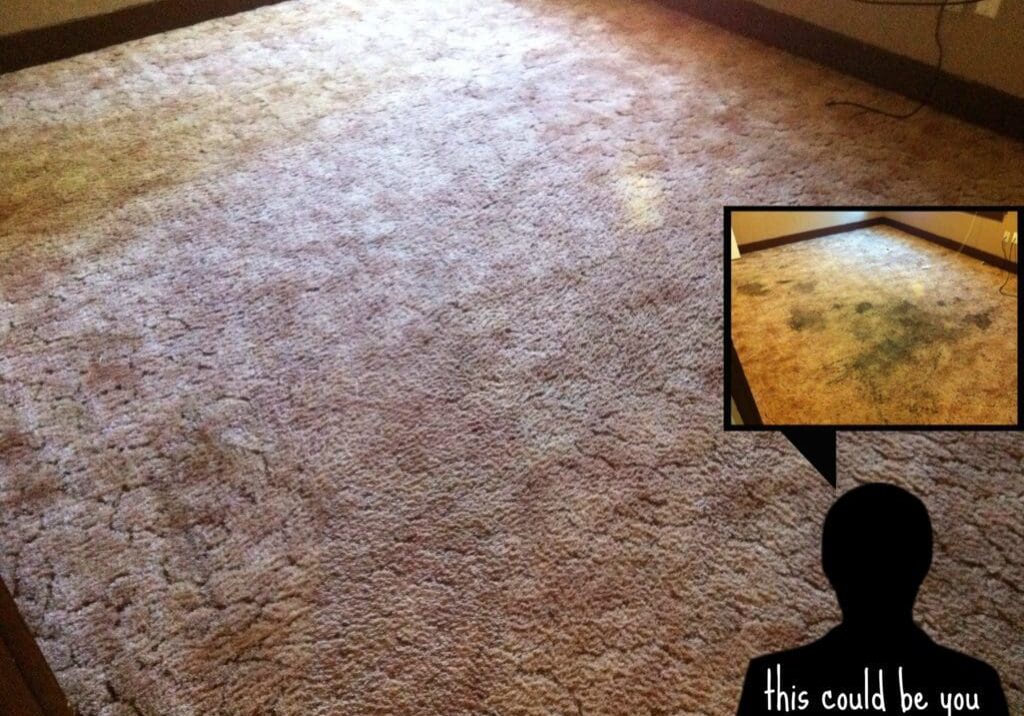 A person is looking at the carpet in their room.